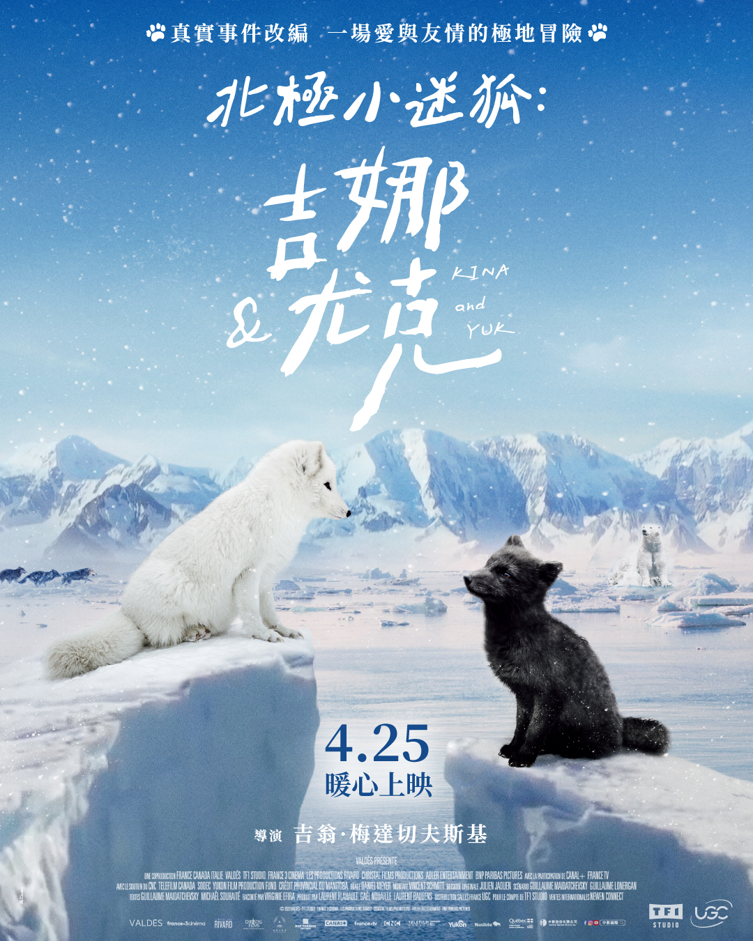 北極小迷狐:吉娜&尤克 Kina & Yuk