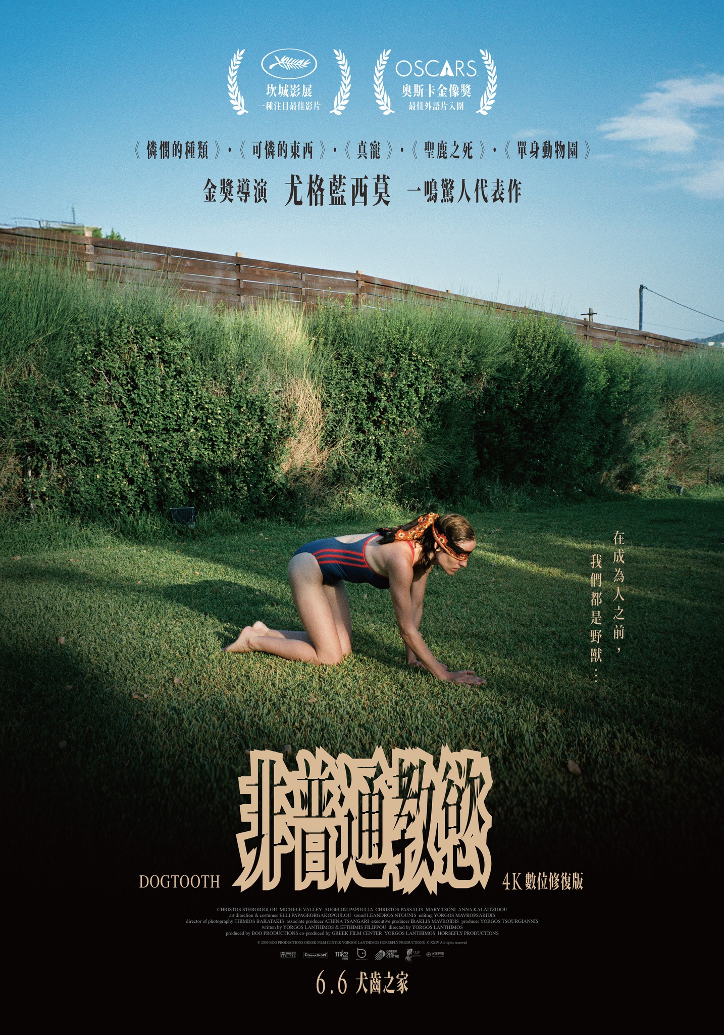 非普通教慾：4K數位修復版 DOGTOOTH
