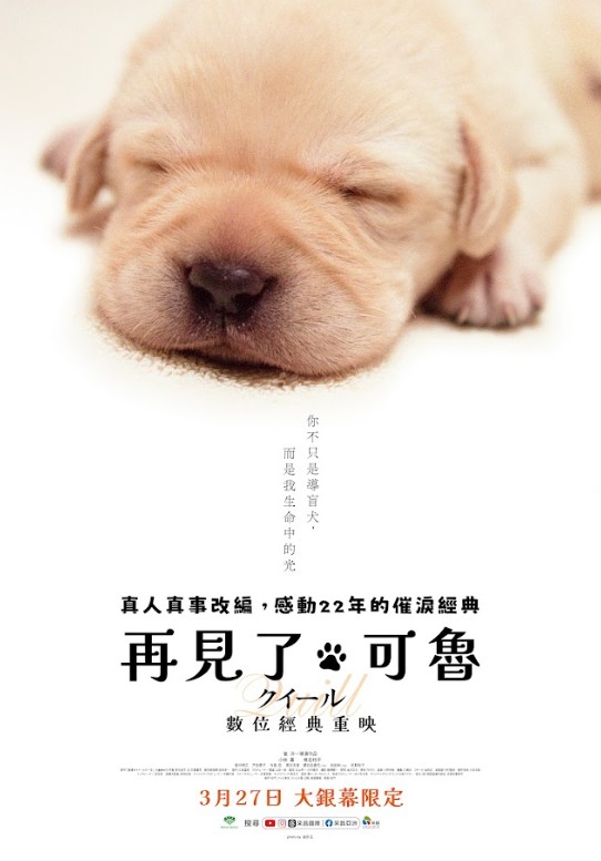 再見了，可魯 數位經典重映 Quill