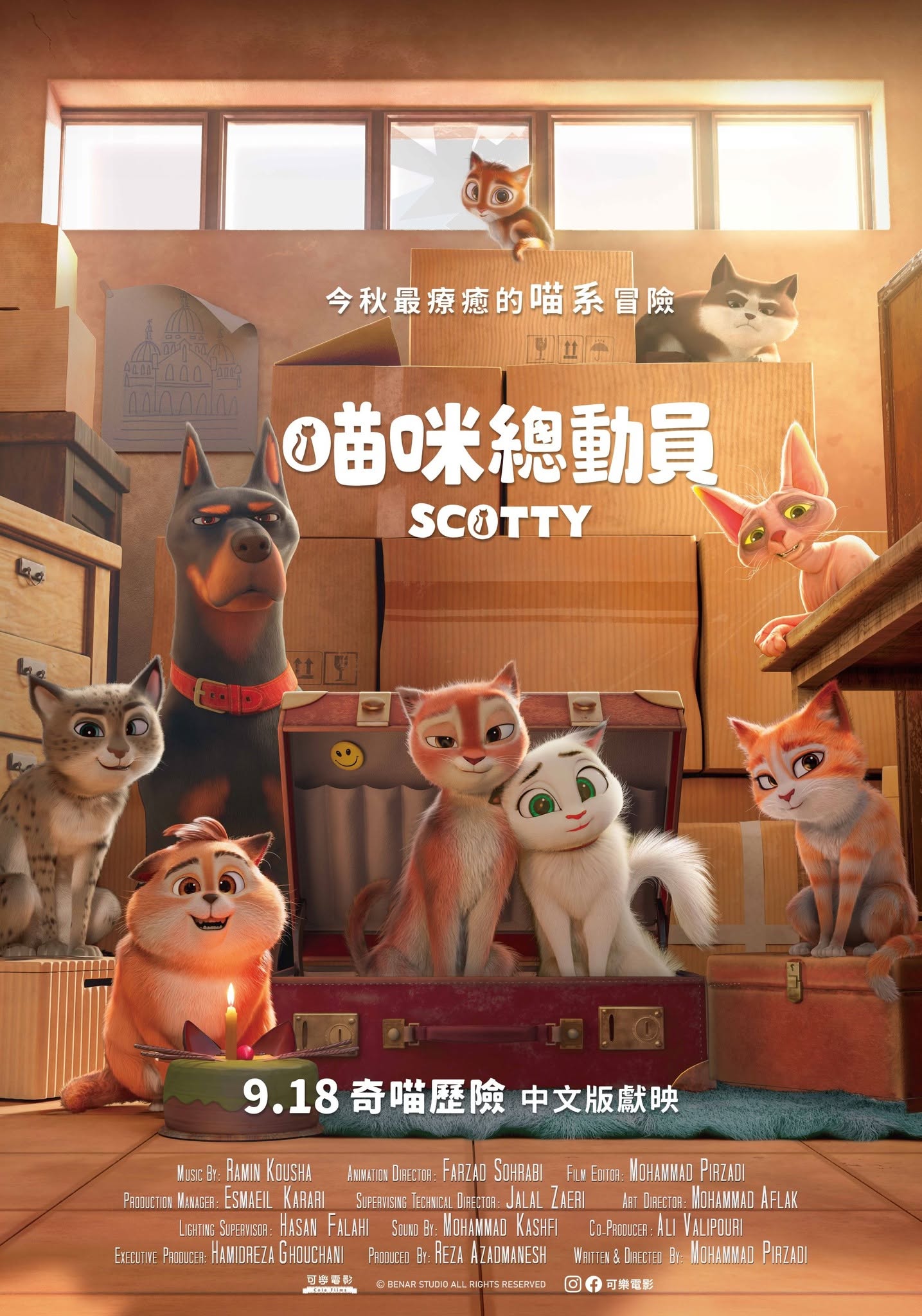 喵咪總動員 Scotty